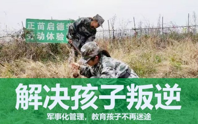 叛逆期孩子的指导(对叛逆期的孩子应该怎样正确指导)(图1) 叛逆期孩子的指导(对叛逆期的孩子应该怎样正确指导)(图1)