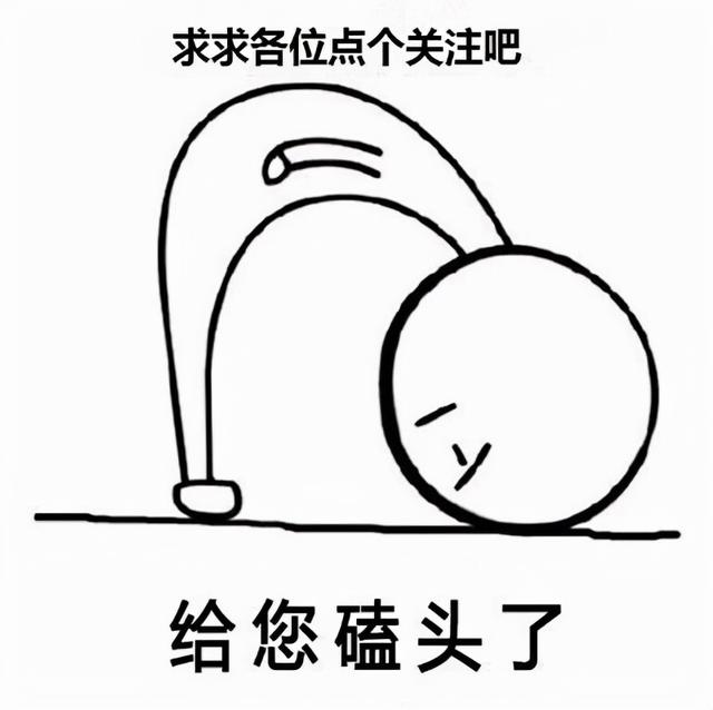 星耀国际官方招商合作协议与全站代理商扶持计划