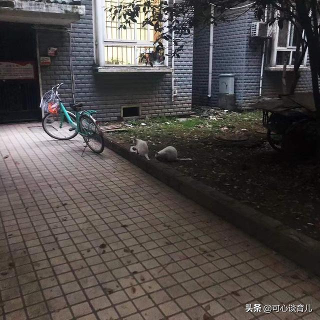 星耀国际官方标准数据总线与企业商务管理系统
