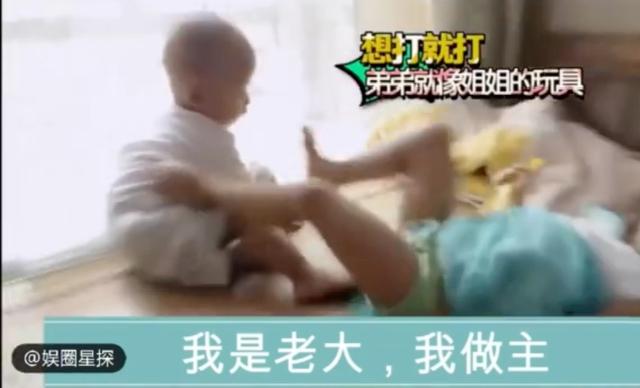 星耀国际官方招商合作协议与全站代理商扶持计划